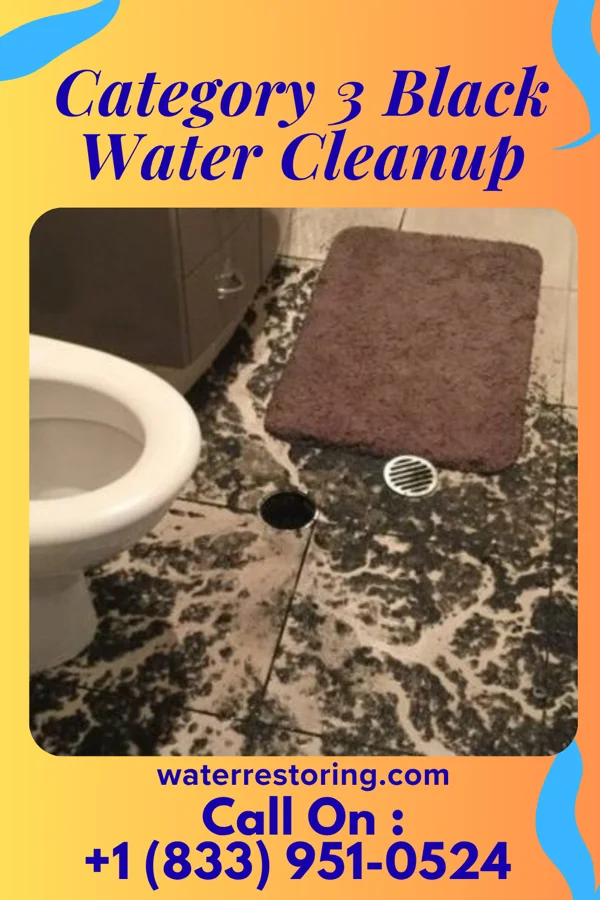 Category 3 Black Water Cleanup in Clay City, IL