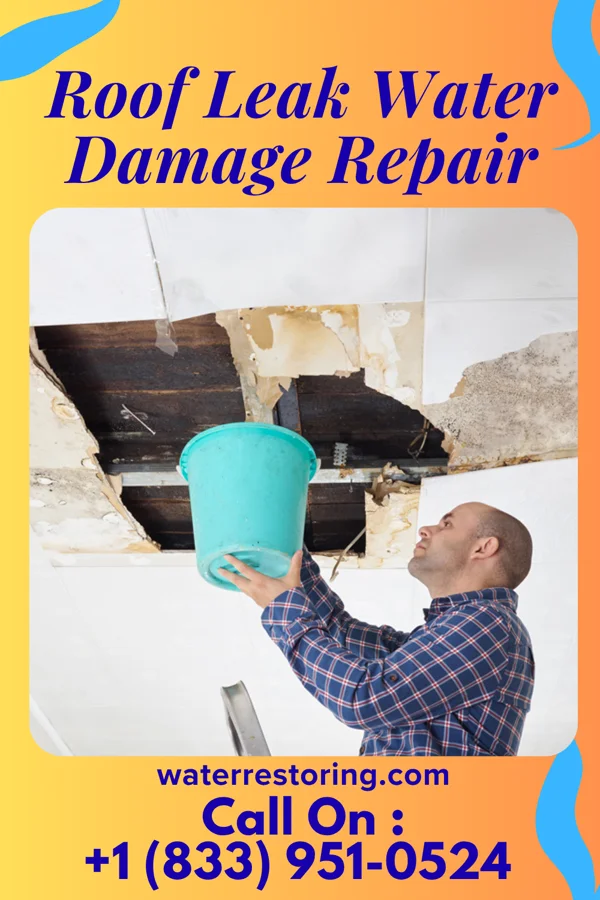 Roof Leak Water Damage Repair in Clay City, IL