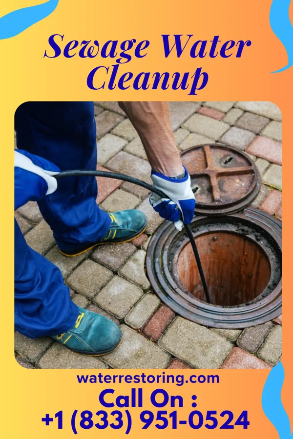 Sewage Water Cleanup in Clay City, IL