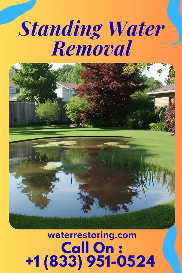 Standing Water Removal in Clay City, IL